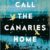 Call the Canaries Home by Laura Barrow
