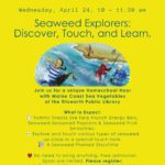 Seaweed Explorers: Discover, Touch and Learn
